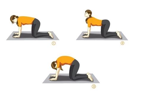 Www.posturevideos.com the advanced cat camel posture exercise targets the muscles in your flanks. 11 Morning Exercises That Will Give Your Whole Body A Wake ...