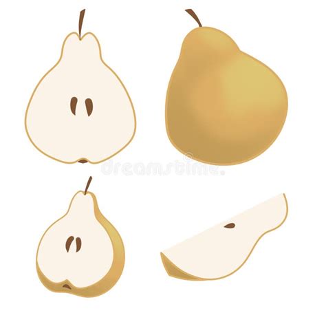 Pears Cut Green Pear Fruits Collection Of Hand Drawn Illustrations