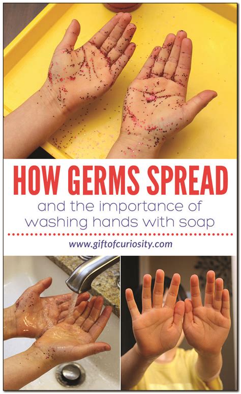 How Germs Spread Artofit