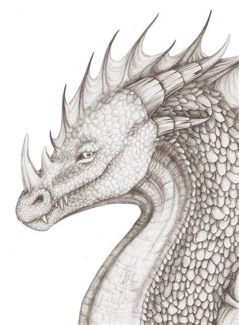Scaly Dragon Portrait By Nachiii On Deviantart Bleistiftzeichnung
