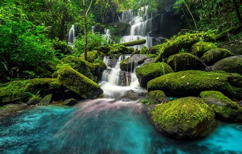 Wallpaper Forest River Waterfall Forest River Jungle