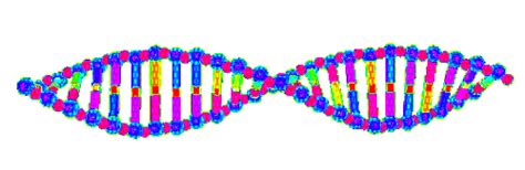 Astronomybones and skullscharts and graphs. Dna gif 8 » GIF Images Download