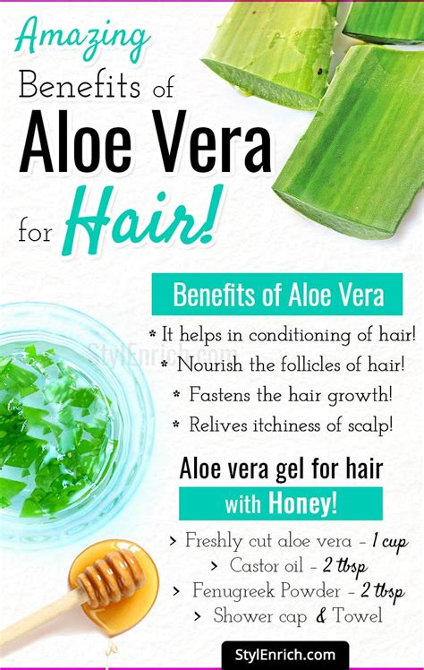 Aloe smooths your hair cuticles because it balances your hair's ph, it helps with keeping your scalp healthy, it moisturizes, and it assists in hair growth. Aloe Vera For Hair Growth - Let's Know the Amazing ...