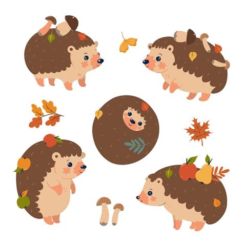 Set Of Cute Autumn Hedgehogs Isolated On A White Background Vector