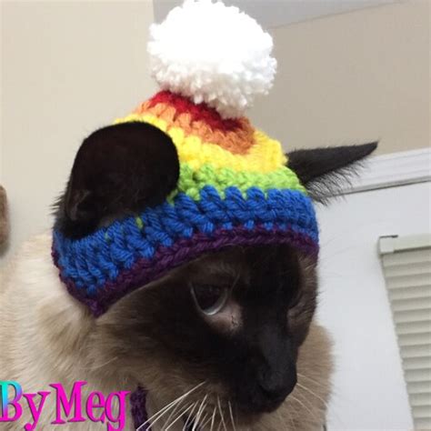 Hat For Cats Toboggan Cat Hat Beanie For Cats And Kittens Cat Etsy