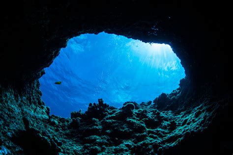 Cave Diving Stock Photo Download Image Now Istock