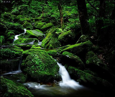 Moss Waterfall By Jaewoon U Via 500px Nature Water Waterfall Photo