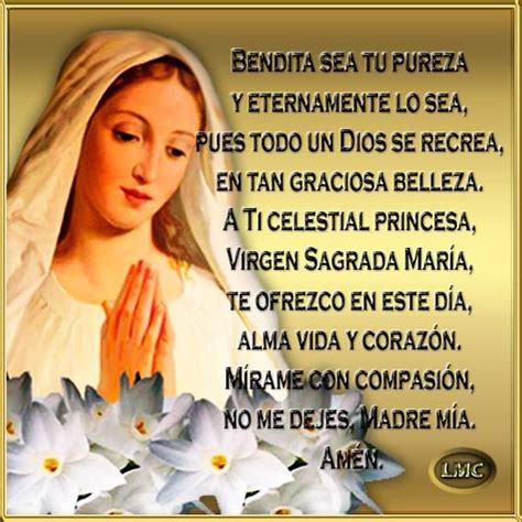 Oracion De La Mañana Virgen Maria No Dejará De Cumplir Plenamente