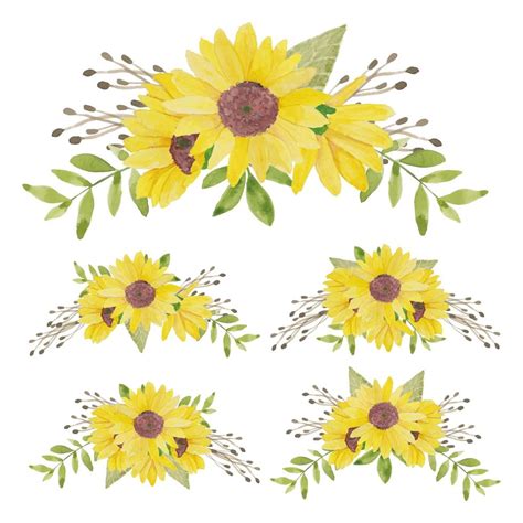 Watercolor Hand Painted Sunflower Bouquet Collection 1213853 Vector Art