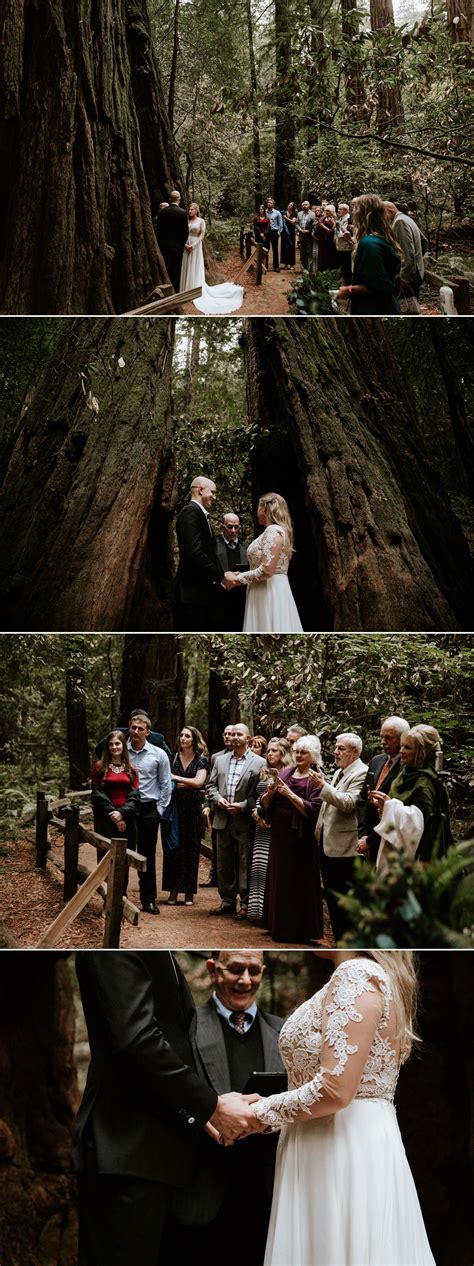 1,306 likes · 2 talking about this. Intimate Wedding in the San Francisco Muir Woods | Hannah ...