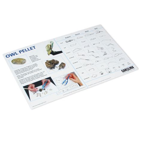 Carolina® Owl Pellet Dissection Mat Carolina Biological Supply