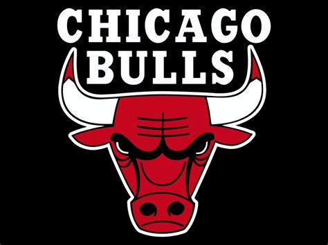 The Chicago Bulls Must Evolve This Season