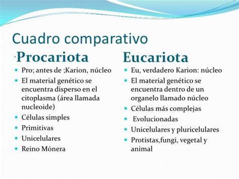 Cuadros Comparativos Entre C Lula Procariota Y Eucariota Cuadro Comparativo Procariota Y