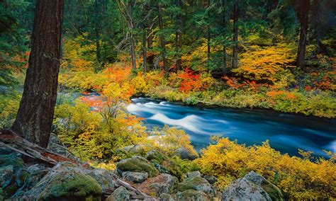 Autumn Rush Metolius River Central Oregon Mike