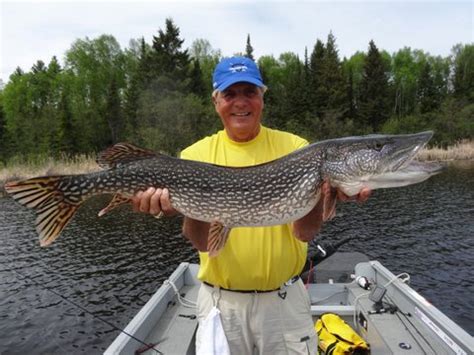 Some of the other popular places are; Fishin.com - Lake Norman Fishing Report - NC