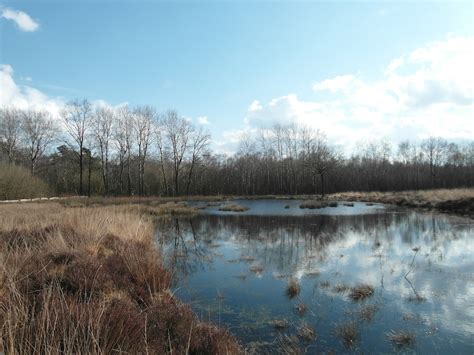 Der aasee im osten der stadt ibbenbüren im tecklenburger land entstand in den 1970er jahren im zuge des autobahnausbaus der autobahn 30 als hochwasserrückhaltebecken und. NaturOrte | Die schönsten Plätze im Freien - für Familien ...