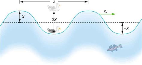 Describe The Motion Of Something Floating In Water Waves