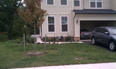 Even if your front yard is small, introducing the perfect landscaping will make it look inviting and cause visitors to not pay attention to the size. Landscape Design for Small Yards Case Study: Townhouse ...