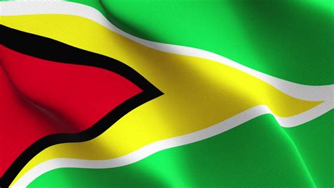 Guyana Flag Waving Seamless Loop Stock Footage Video 100 Royalty Free