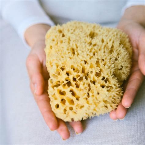 Sea Sponge Sustainably Harvested Simply Bliss