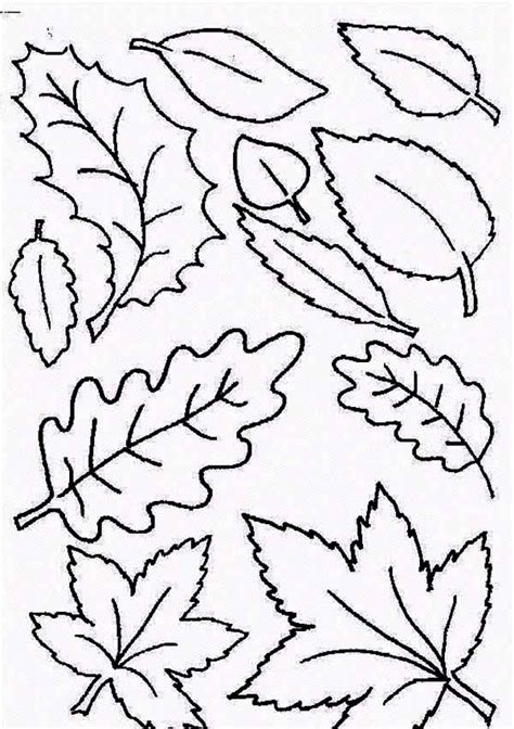 You can now print this beautiful big leaf maple leaf coloring page or color online for free. Type of Fall Leaf Coloring Page - NetArt