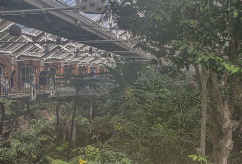 The Upgraded Tropical Ravine Botanic Gardens Belfast Flickr