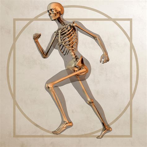 Skeleton Running Photograph By Friedrich Saurer Fine Art America