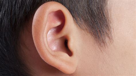 Now Ear This A New App Can Detect A Childs Ear Infection Mental Floss