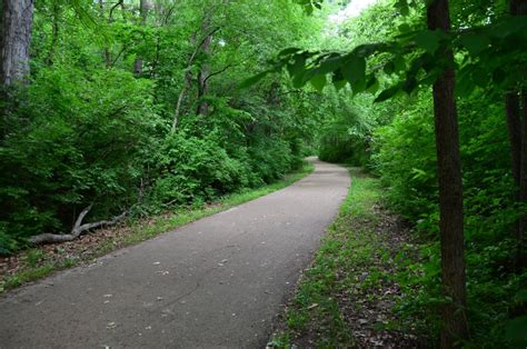 Kankakee River Trail Suspension Bridge And Tall Trees Area