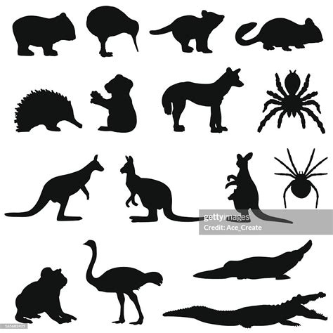 Australian Animals Silhouette Set High Res Vector Graphic Getty Images