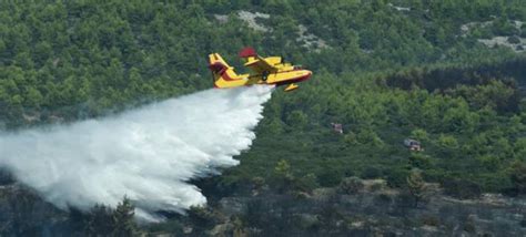 Jun 27, 2021 · φωτιά σε πάρκινγκ σκαφών στην τροιζήνα φωτιά έχει ξεσπάσει σε πάρκινγκ σκαφών σήμερα κυριακή 27 ιουνίου στις 12:00 σε περιοχή της τροιζήνας ΣΕ ΕΞΕΛΙΞΗ Η ΜΕΓΑΛΗ ΦΩΤΙΑ ΣΕ ΔΑΣΙΚΗ ΕΚΤΑΣΗ ΣΤΟΝ ΤΑΥΓΕΤΟ ...