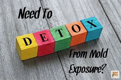 It traps toxins inside they body and. How To Detox Your Body From Mold (What I Did) | Mold exposure