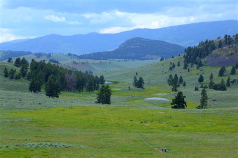 Img6794 Specimen Ridge Trail Yellowstone National Park Flickr