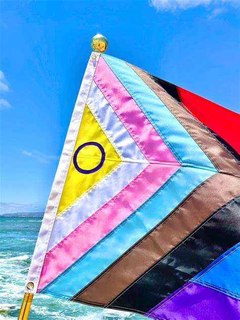 Intersex Inclusive Progress Pride Flag Hand Sewn Etsy