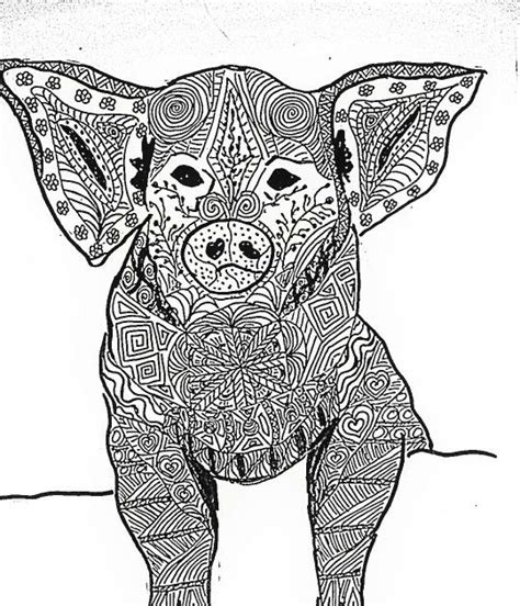 Zentangle Inspired Art Pig Mandala Coloring Pages Pig Art Mandala