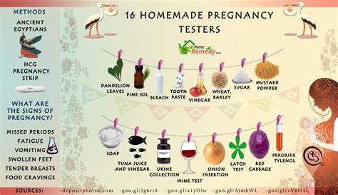 Polymerase chain reaction (pcr) or nucleic acid amplification test (naat): 16 Homemade Pregnancy Tests to Try Out - Home Remedies