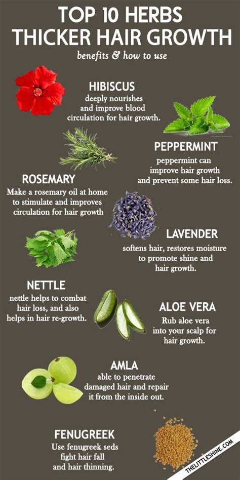 Top 10 Amazing Herbs For Faster And Thicker Hair Growth Herbs For
