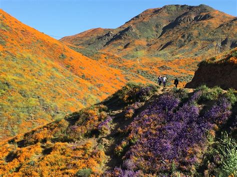 Browse the most recent sandy, utah obituaries and condolences. Super Bloom 2019 at Lake Elsinore, CA. | Lake elsinore ...