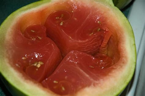 Watermelon Is Not Supposed To Look Like Marbled Beef Whatever