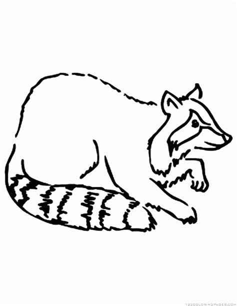 Raccoon black and white creative animal. Raccoon Coloring Pages