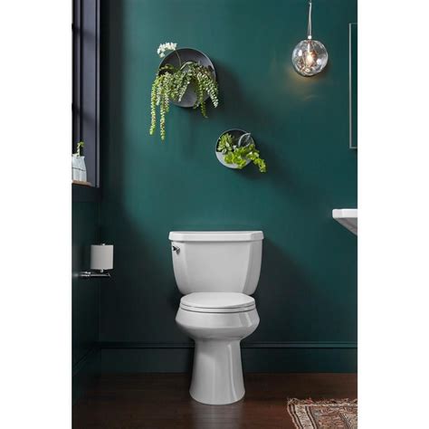 Kohler Intrepid 2-Piece Complete Toilet Kit - Kohler Elliston Toilet