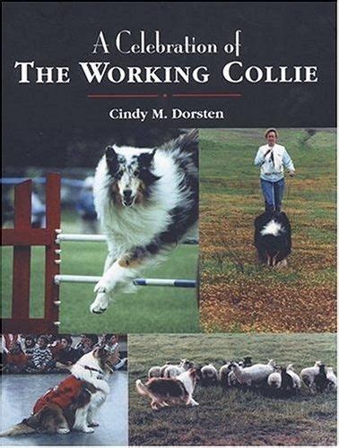 A Celebration Of The Working Colliethe Groundbreaking Book By Cindy