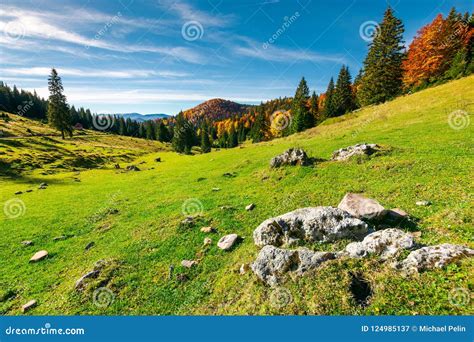 Rocks On A Grassy Meadow Stock Image Image Of Mixed 124985137