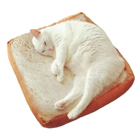 Slice Of Bread Cat Bed Wicked Gadgetry