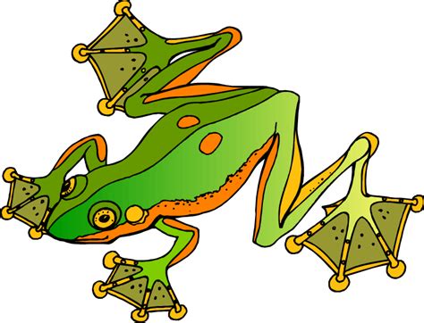 Feet Clipart Frog Feet Frog Transparent Free For Download On