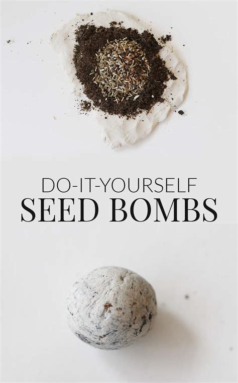 Diy Seed Bombs Recipe An Easy Garden Hack Birds Eye Meeple