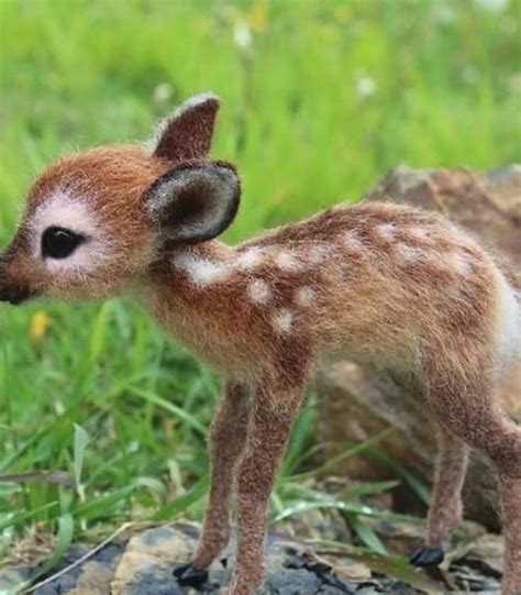 The 100 Cutest Animals Of All Time List Inspire Cute