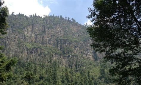 Vidy_sporta › futbol › russia › dinamo_moskva. Parque Nacional los Dinamos - TuriMexico