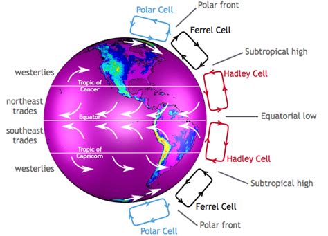 Convection Cells And Global Weather Patterns Navigation In A Modern World