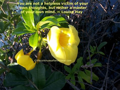 You Are Not A Helpless Victim Of Your Own Thoughts You Are Quote
